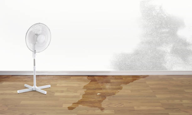 Professional Water damage restoration in Chardon, OH