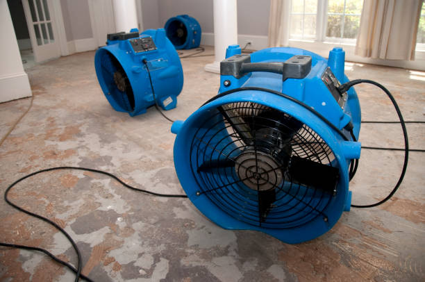 Best Ceiling water damage repair  in Chardon, OH