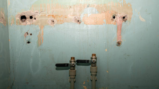 Best Flood restoration services  in Chardon, OH