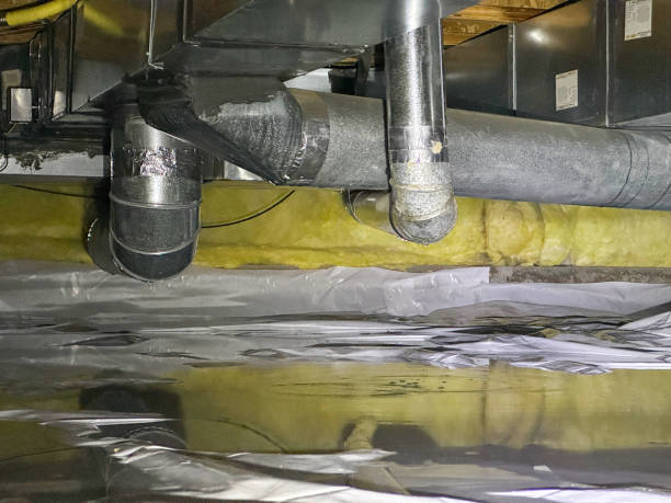 Best Water damage contractors near me  in Chardon, OH