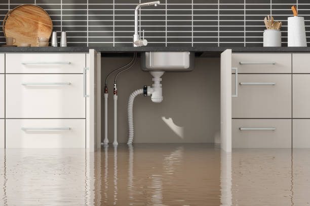 Best Basement water damage restoration  in Chardon, OH